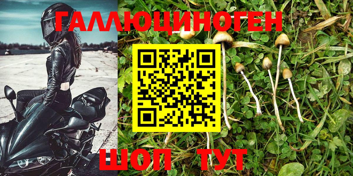 Псилоцибиновые грибы ЛСД Новочебоксарск