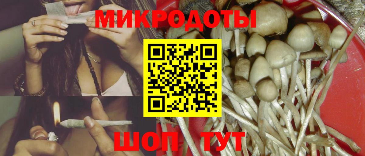 Новочебоксарск  Галлюциногенные грибы Psilocybe  Вход с VPN 